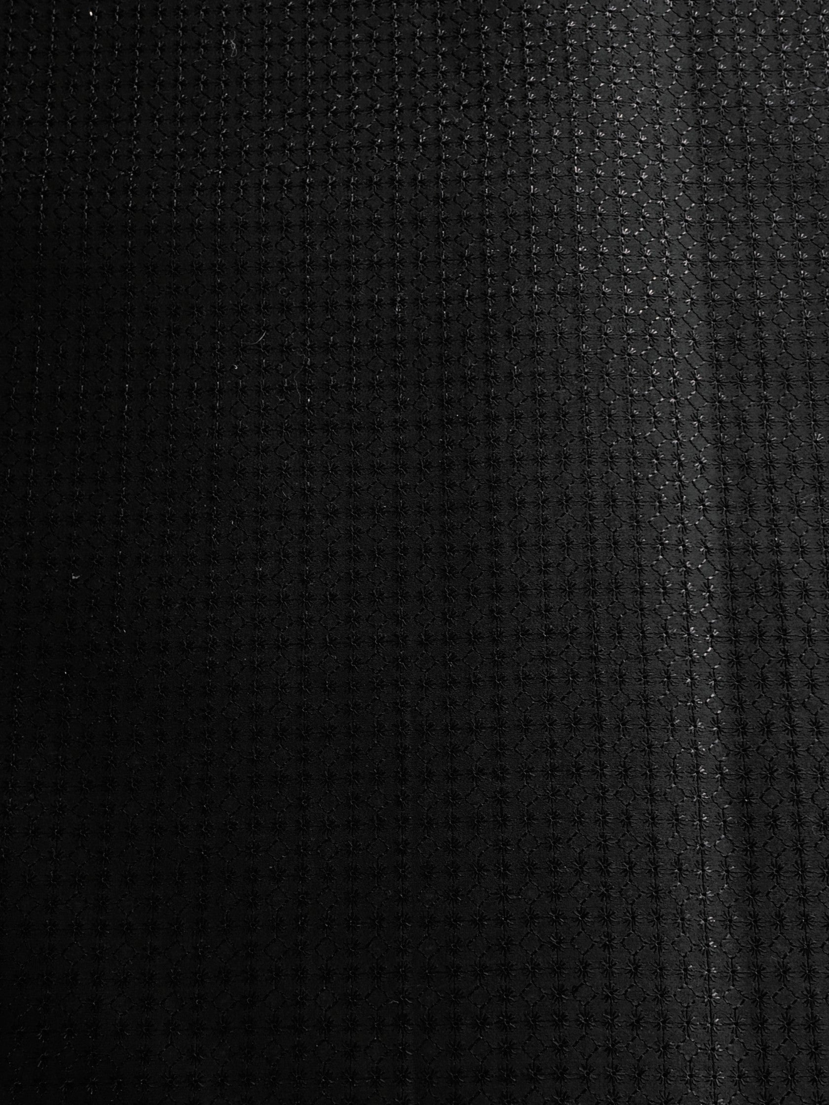 3142 Swiss Polish Cotton with Embroidery