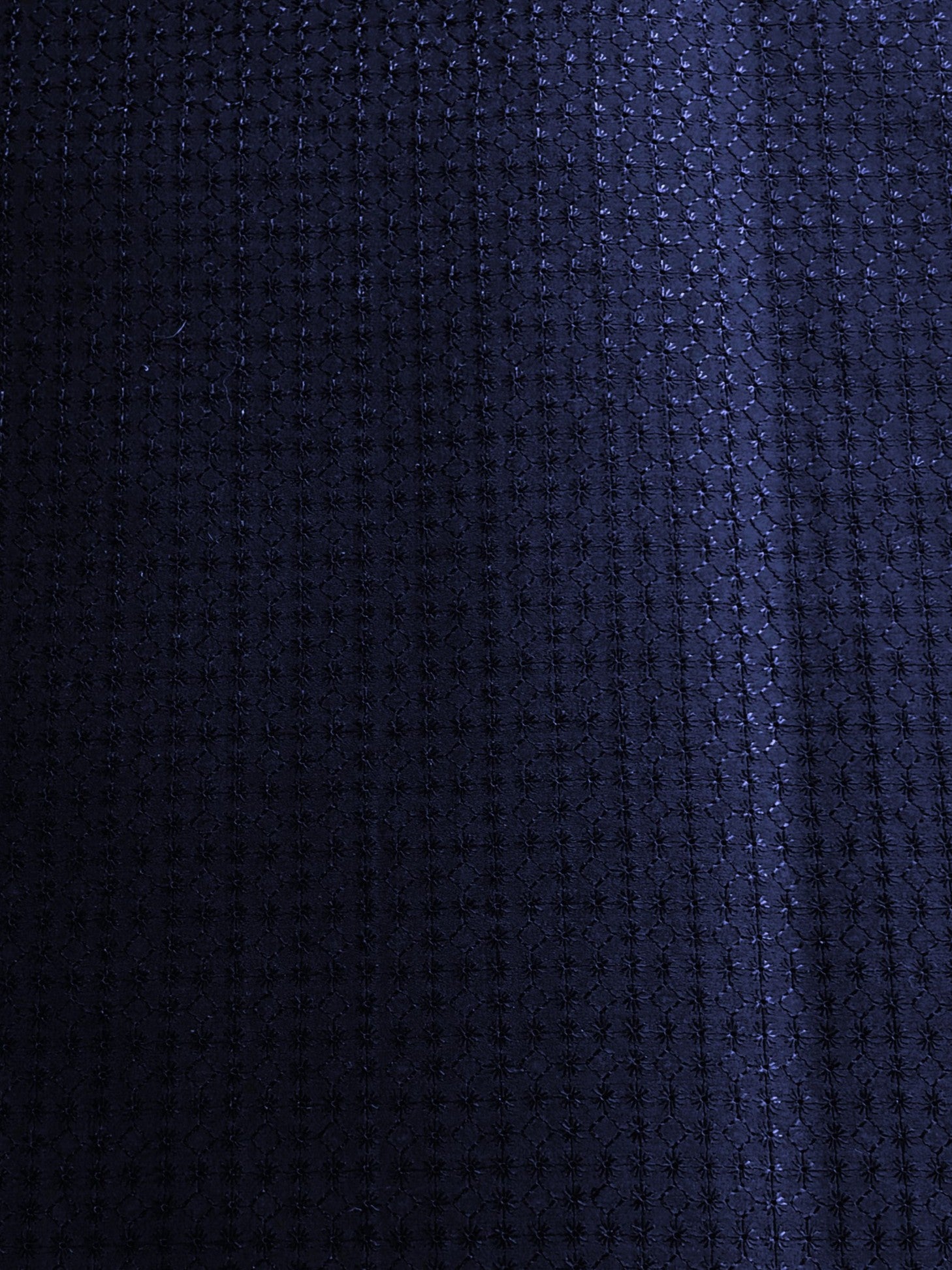 3142 Swiss Polish Cotton with Embroidery